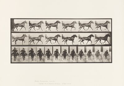 Plate 594. Rocking (Pacing): Sulky; Brown Horse Pronto by Eadweard Muybridge