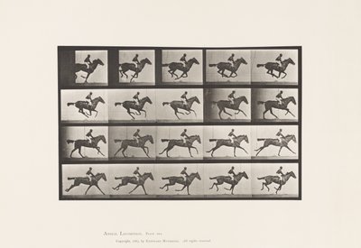 Plate 627. Gallop; Thoroughbred Bay Mare Annie G. by Eadweard Muybridge