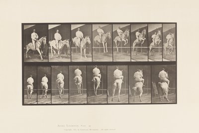 Plate 645. Jumping a Hurdle; Saddle; Clearing and Landing by Eadweard Muybridge