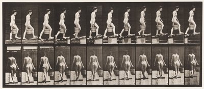 Plate 83. Ascending Incline, Bucket of Water in Right Hand by Eadweard Muybridge