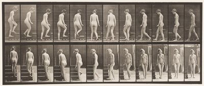 Turning and Ascending Stairs by Eadweard Muybridge