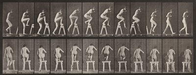 Plate Number 178. Stepping on and Over a Trestle by Eadweard Muybridge