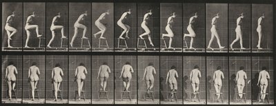 Plate Number 180. Stepping on and over a chair by Eadweard Muybridge