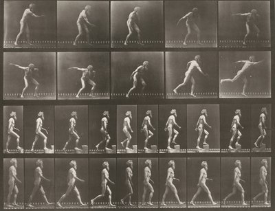 Plate Number 519. A: Throwing a disk. B: Ascending a step. C: Walking by Eadweard Muybridge