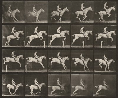 Plate Number 642. "Pandora" Jumping a Hurdle, Saddled; Rider Nude by Eadweard Muybridge