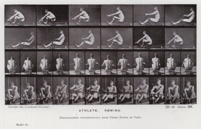 The Human Figure in Motion: Athlete, Rowing by Eadweard Muybridge