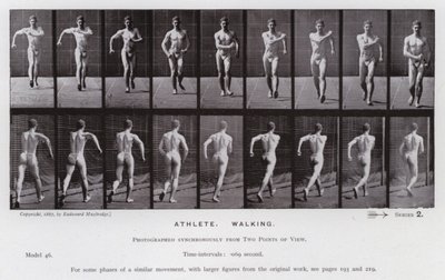 The Human Figure in Motion: Athlete, Walking by Eadweard Muybridge