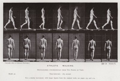 The Human Figure in Motion: Athlete, Walking by Eadweard Muybridge