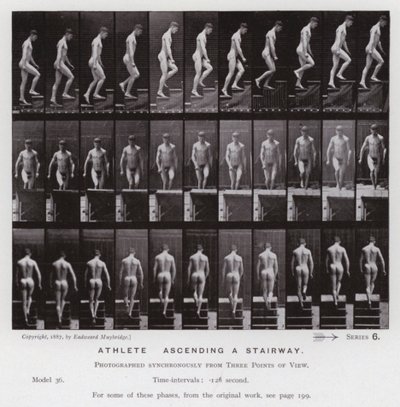 The Human Figure in Motion: Athlete, ascending a stairway by Eadweard Muybridge