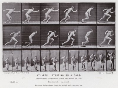 The Human Figure in Motion: Athlete, starting on a race by Eadweard Muybridge