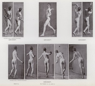 The Human Figure in Motion: Cricket by Eadweard Muybridge