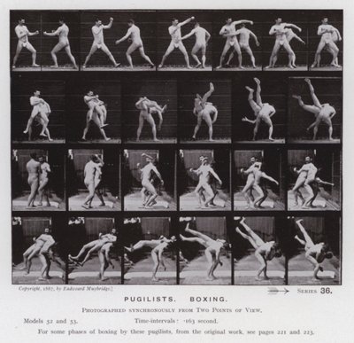 The Human Figure in Motion: Pugilists, Boxing by Eadweard Muybridge