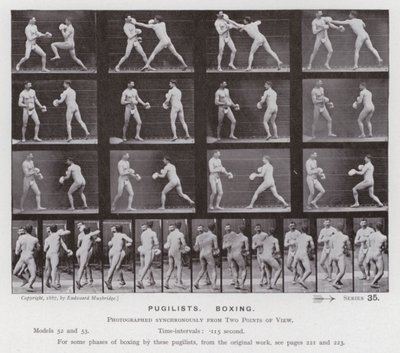 The Human Figure in Motion: Pugilists, Boxing by Eadweard Muybridge