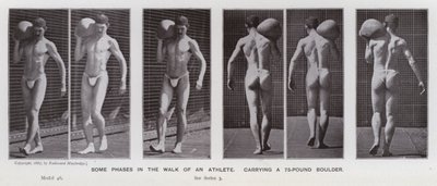 The Human Figure in Motion: Some phases in the walk of an athlete, carrying a 75-pound boulder by Eadweard Muybridge