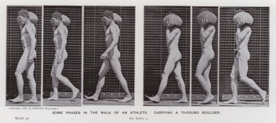 The Human Figure in Motion: Some Phases in the Walk of an Athlete, Carrying a 75-Pound Boulder by Eadweard Muybridge