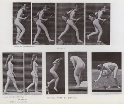 The Human Figure in Motion: Various acts of motion by Eadweard Muybridge