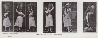 The Human Figure in Motion: Various phases of movement by Eadweard Muybridge