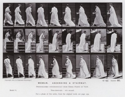 The Human Figure in Motion: Woman, ascending a stairway by Eadweard Muybridge