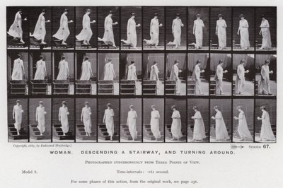 The Human Figure in Motion: Woman, descending a stairway, and turning around by Eadweard Muybridge