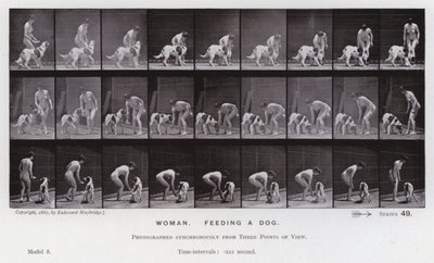 The Human Figure in Motion: Woman, feeding a dog by Eadweard Muybridge