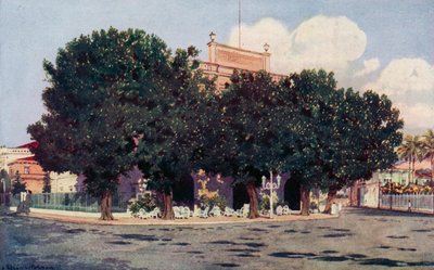 The Hotel dos Estrangeiros, Frequented by the Official World of Rio and distinguished Foreigners by Edgar L. Pattison