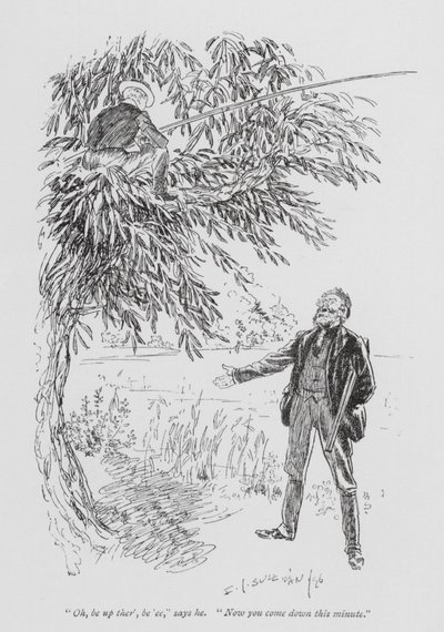 Illustration for Tom Brown