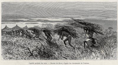 Captives carrying wood in the bush. Engraving by Riou, to illustrate the story 