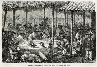 Cockfighting and street animation in Ibague (Colombia) (drawing by Riou, to illustrate the story of Equinoxial America (Colombia, Ecuador, Peru), 1875-1876, by Ed. Andre, traveler mission charge by the French government. Engraving in 