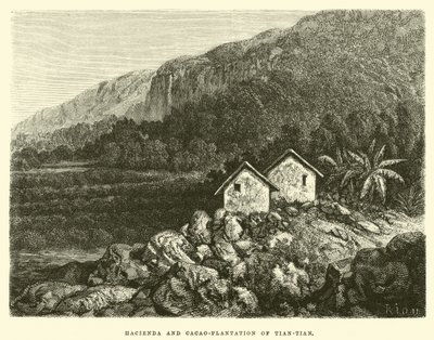 Hacienda and Cacao-Plantation of Tian-Tian by Edouard Riou