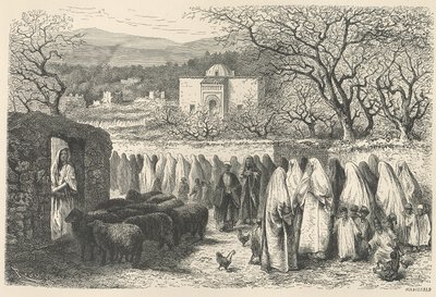 Marabout and Procession: Tlemcen (engraved by Henri Theophile Hildibrand) by Edouard Riou
