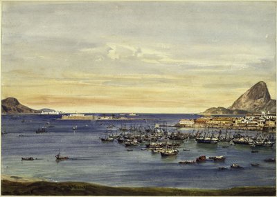 Bay of Rio de Janeiro by Eduard Hildebrandt