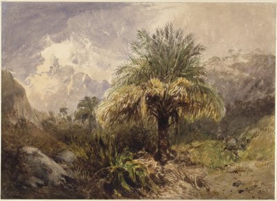 Palms in the Mountains by Eduard Hildebrandt