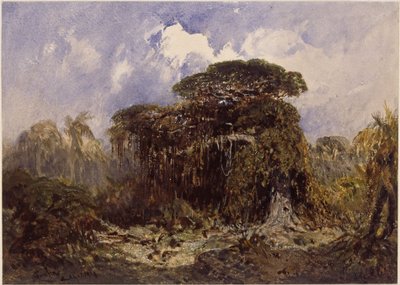 Forest Study by Eduard Hildebrandt