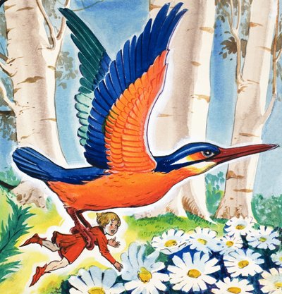 The Story of Tom Thumb by Eduardo Teixeira Coelho