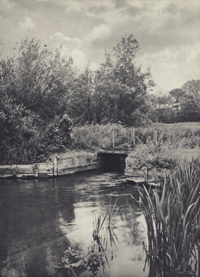 A Small Carrier on the Ramsbury Water by Edward Alfred Barton