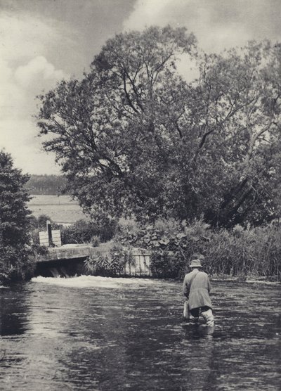 On the Itchen below Winchester by Edward Alfred Barton