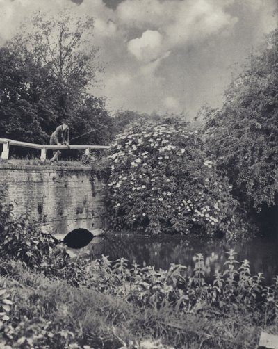 The Canal Bridge over the Frays, Uxbridge by Edward Alfred Barton