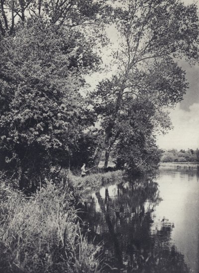Under the Big Poplars on the Houghton Water by Edward Alfred Barton
