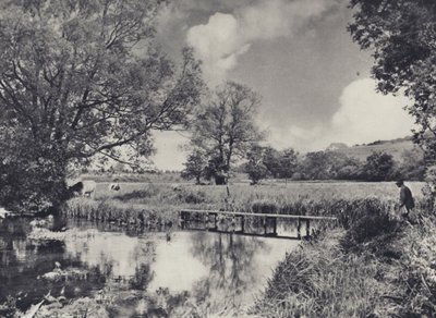 Water Meadows of the Lower Itchen by Edward Alfred Barton