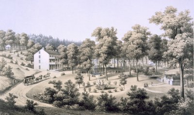 Stribling Springs, Spa Village, Augusta Country, 1858 by Edward Beyer