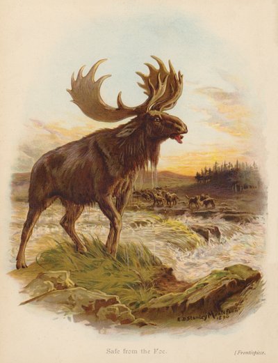 Safe from the Foe by Edward Brice Montefiore