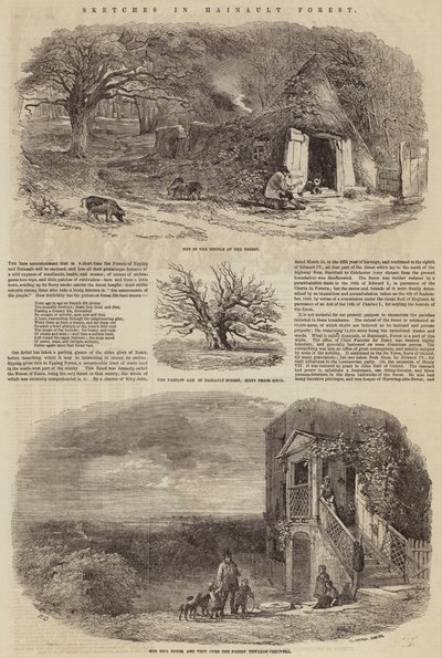 Sketches in Hainault Forest by Edward Duncan