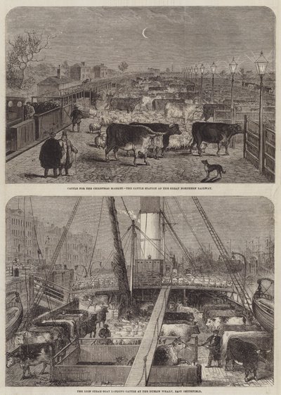 Cattle for the Christmas Market by Edward Hull