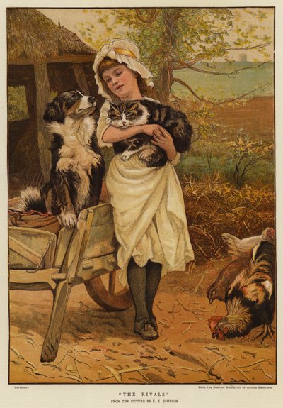 The Rivals by Edward Killingworth Johnson