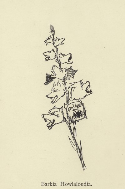 Barkia Howlaloudia by Edward Lear