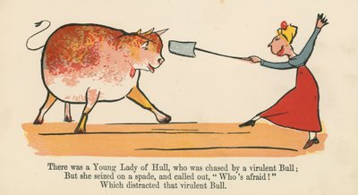 There was a Young Lady of Hull, who was Chased by a Virulent Bull, from 