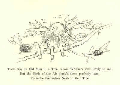 There Was an Old Man in a Tree, Whose Whiskers Were Lovely to See by Edward Lear