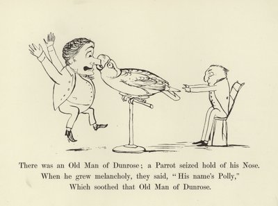 There Was an Old Man of Dunrose; a Parrot Seized Hold of His Nose by Edward Lear