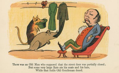 There was an Old Man who supposed that the street door was partially closed, from 