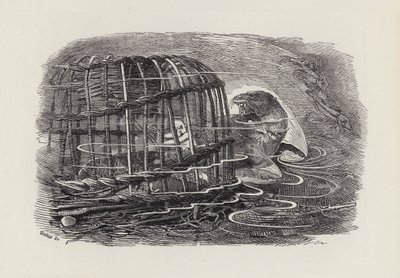 Illustration for The Water-Babies by Charles Kingsley by Edward Linley (after) Sambourne